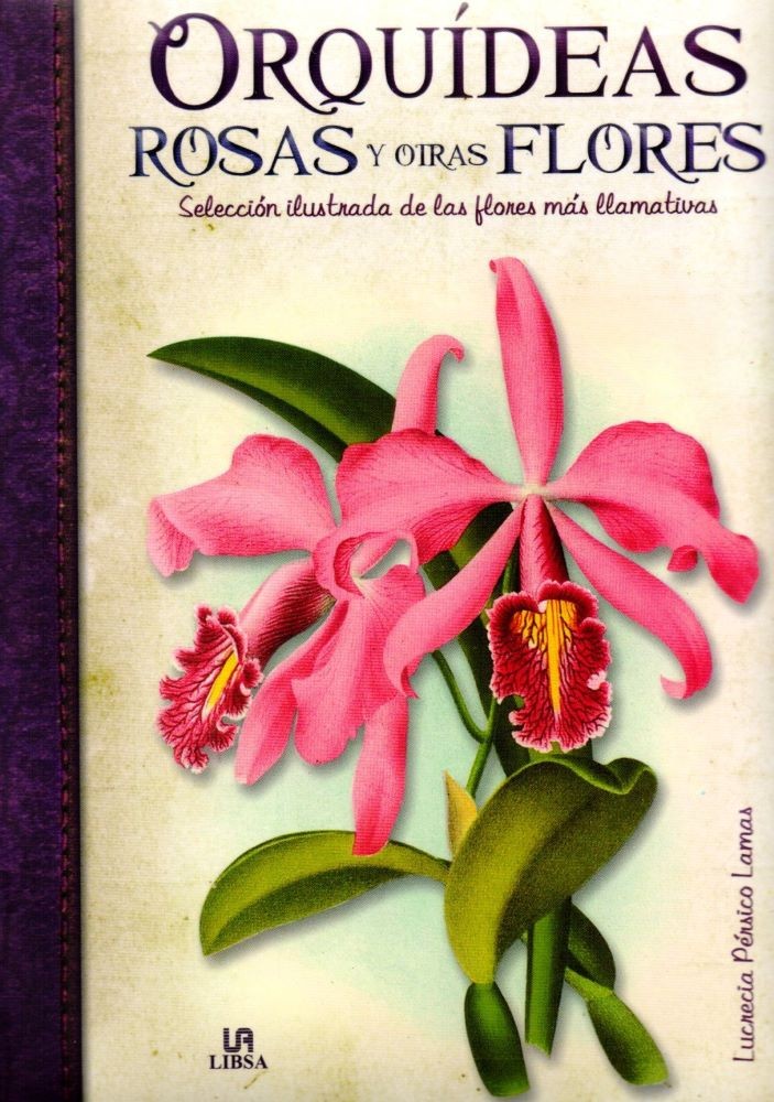 ORQUIDEAS ROSAS Y OTRAS FLORES