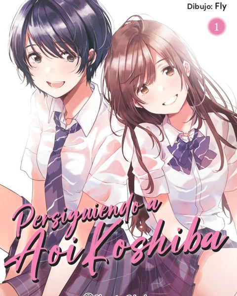 PERSIGUIENDO A AOI KOSHIBA Nº 01/04
