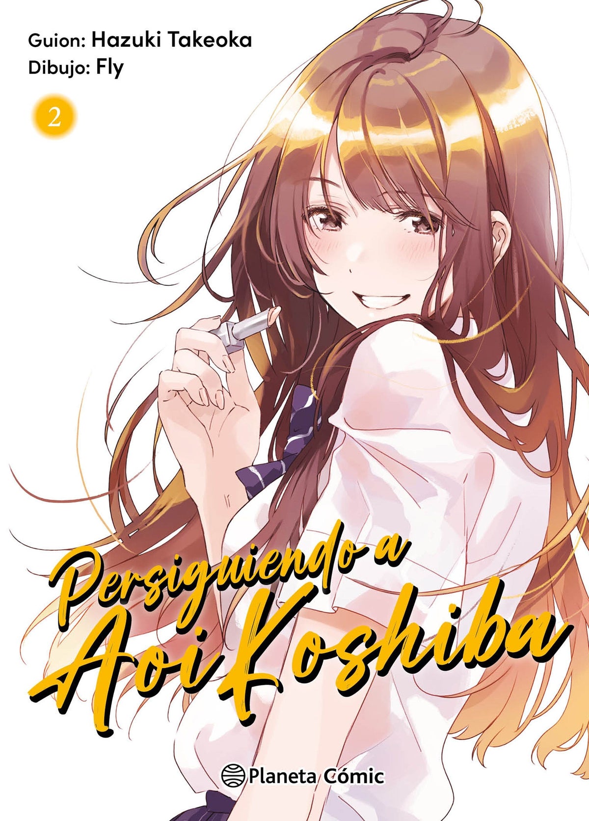 PERSIGUIENDO A AOI KOSHIBA N° 02/04