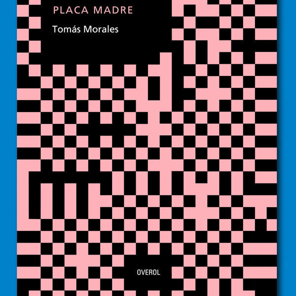 PLACA MADRE