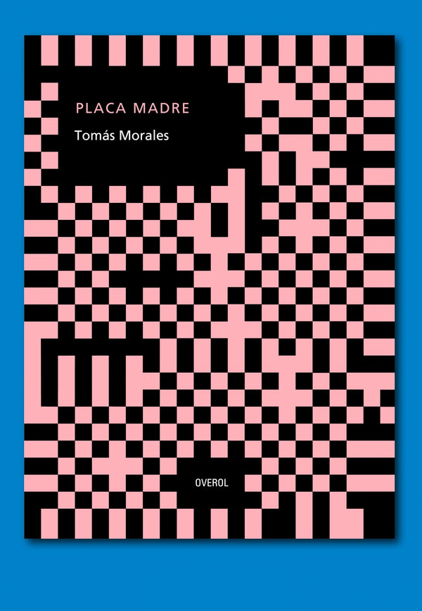 PLACA MADRE