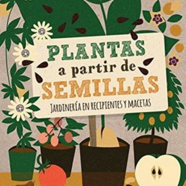 PLANTAS A PARTIR DE SEMILLAS