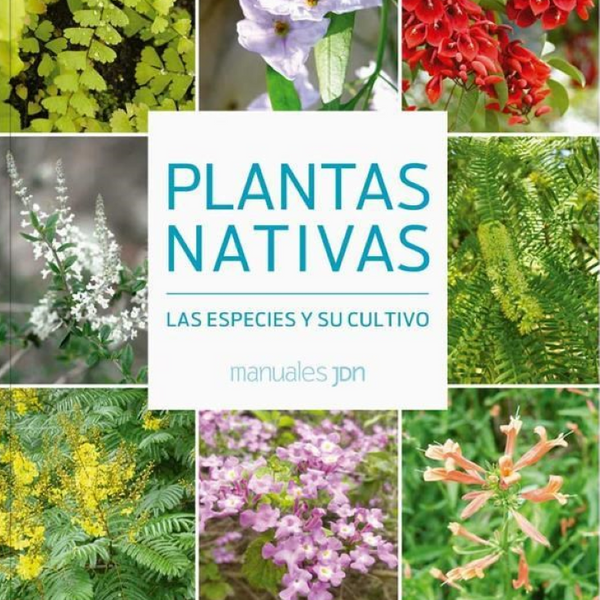 PLANTAS NATIVAS