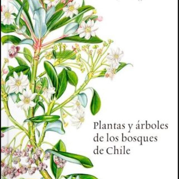 PLANTAS Y ARBOLES DE LOS BOSQUES DE CHILE
