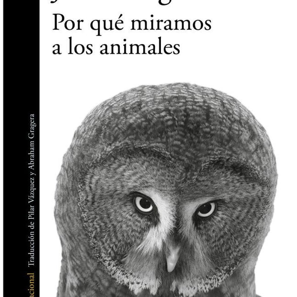 POR QUE MIRAMOS A LOS ANIMALES