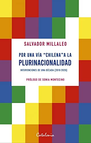 POR UNA VIA CHILENA  A LA PLURINACIONALIDAD