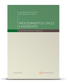 PROCEDIMIENTOS CIVILES E INCIDENTES
