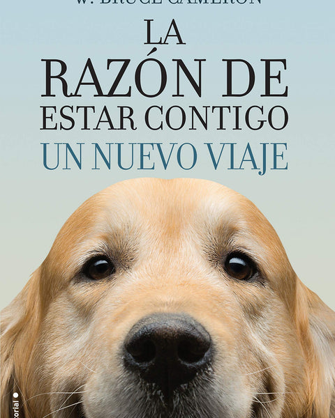 RAZON DE ESTAR CONTIGO 2. UN NUEVO VIAJE