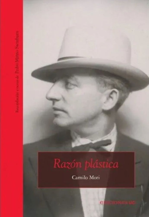 RAZÓN PLASTICA