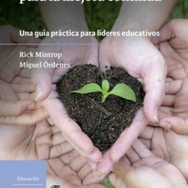RESOLUCION DE PROBLEMAS PARA LA MEJORA CONTINUA