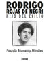 RODRIGO ROJAS DE NEGRI. Hijo del exilio