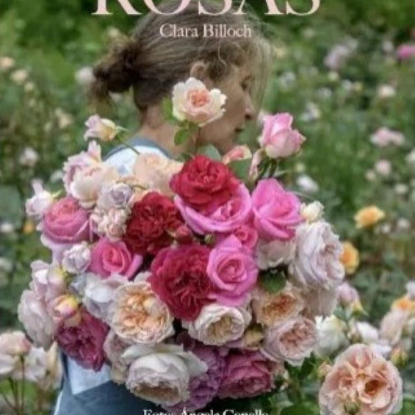 ROSAS - CLARA BILLOCH