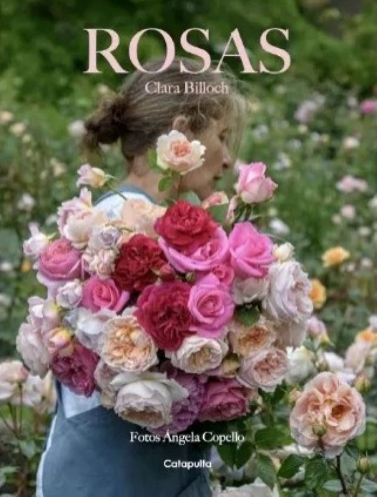 ROSAS - CLARA BILLOCH