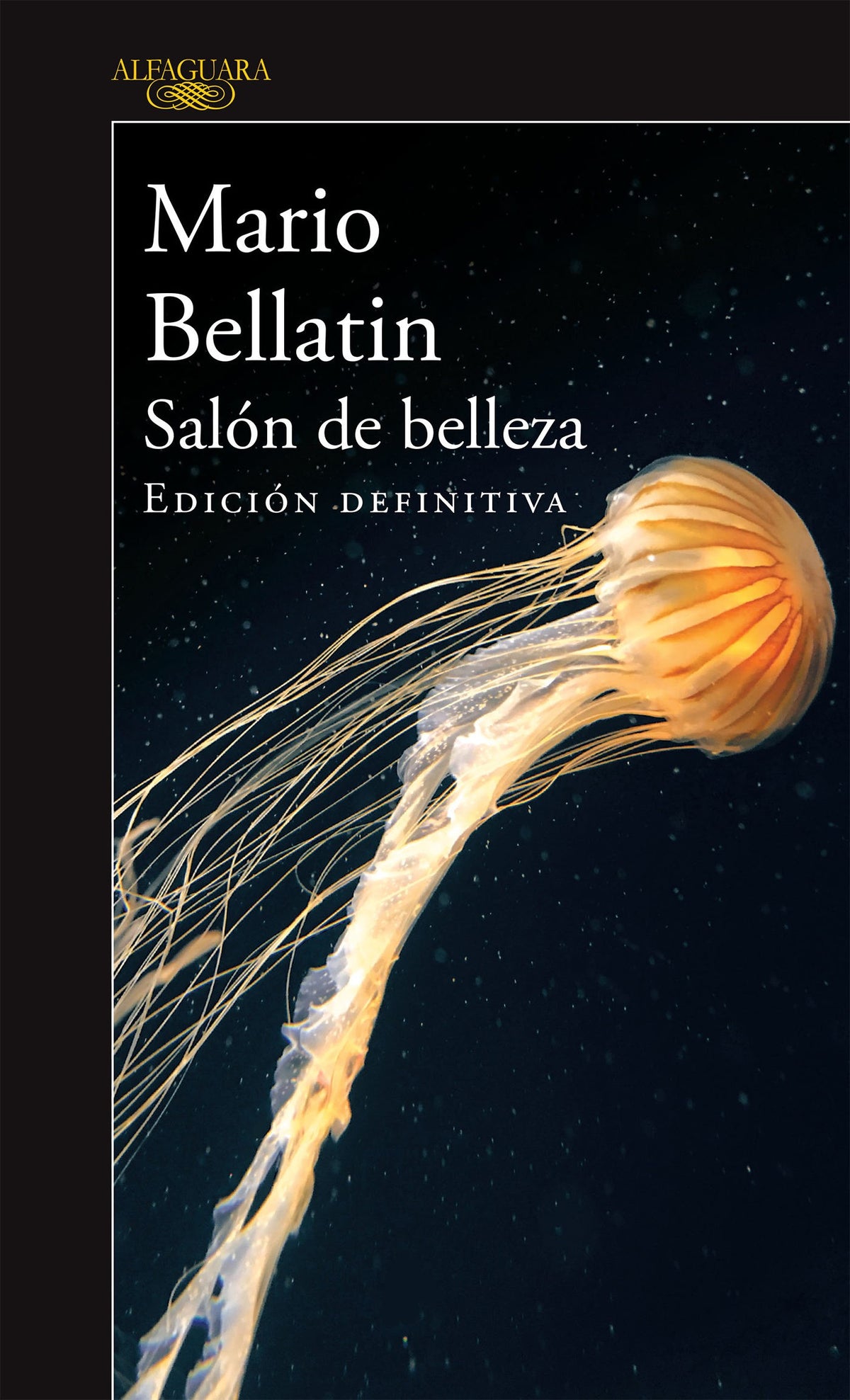SALON DE BELLEZA (MAPA DE LAS LENGUAS)