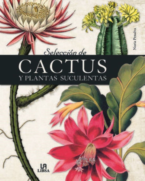 SELECCIÓN DE CACTUS Y PLANTAS SUCULENTAS