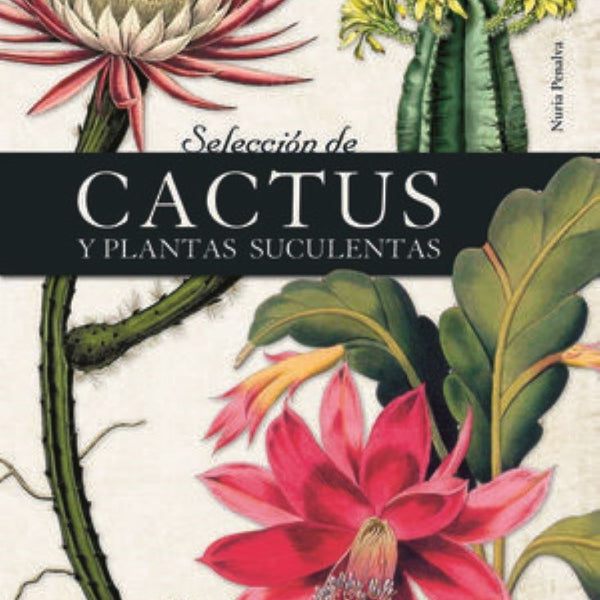 SELECCIÓN DE CACTUS Y PLANTAS SUCULENTAS