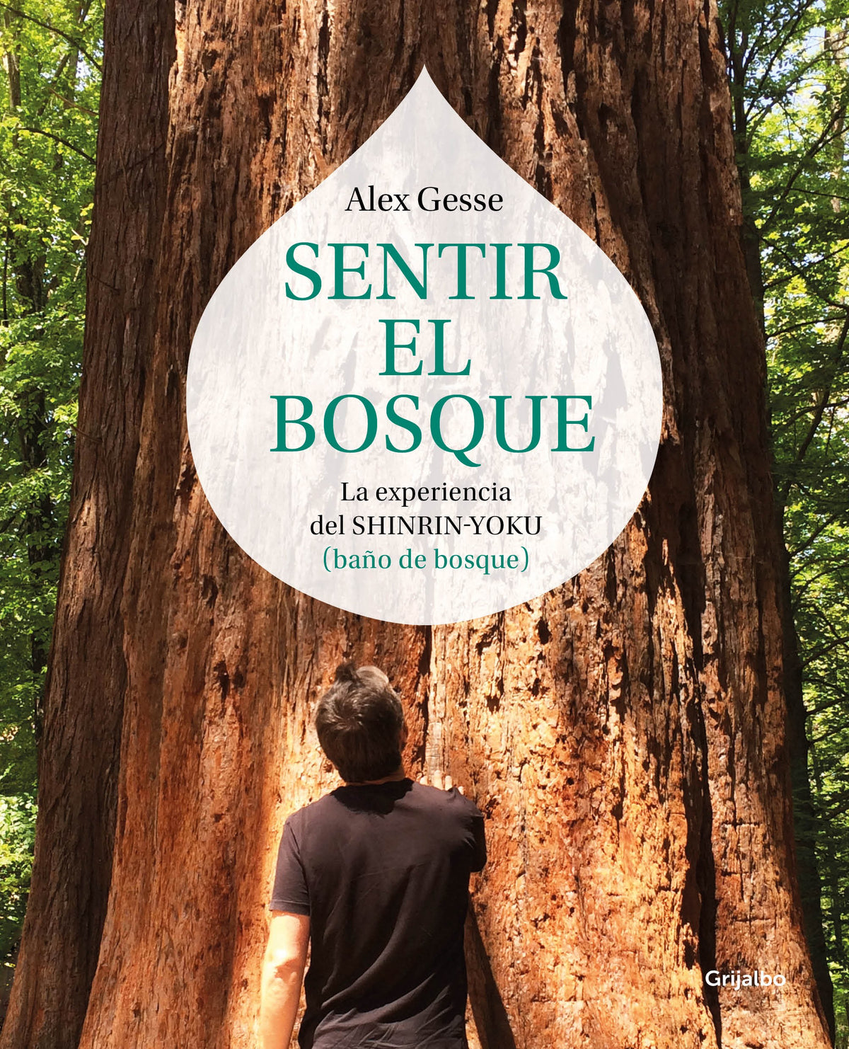 SENTIR EL BOSQUE