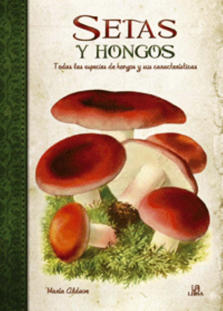 SETAS Y HONGOS
