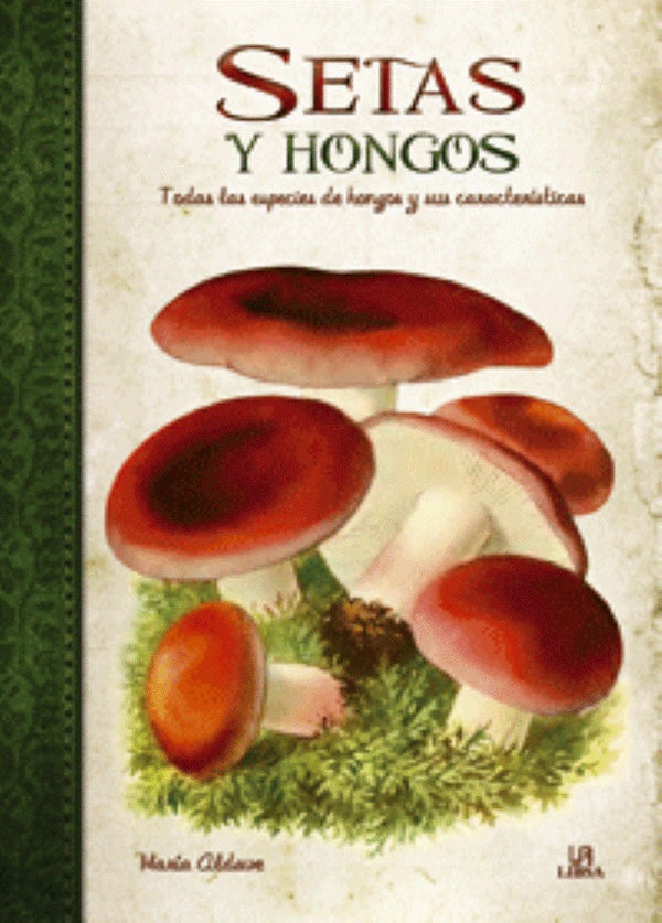SETAS Y HONGOS