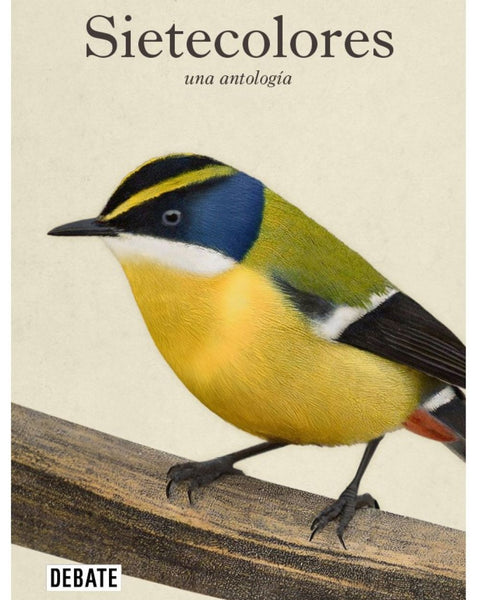 SIETECOLORES: UNA ANTOLOGIA