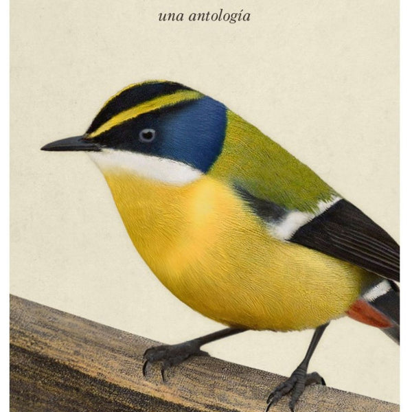SIETECOLORES: UNA ANTOLOGIA