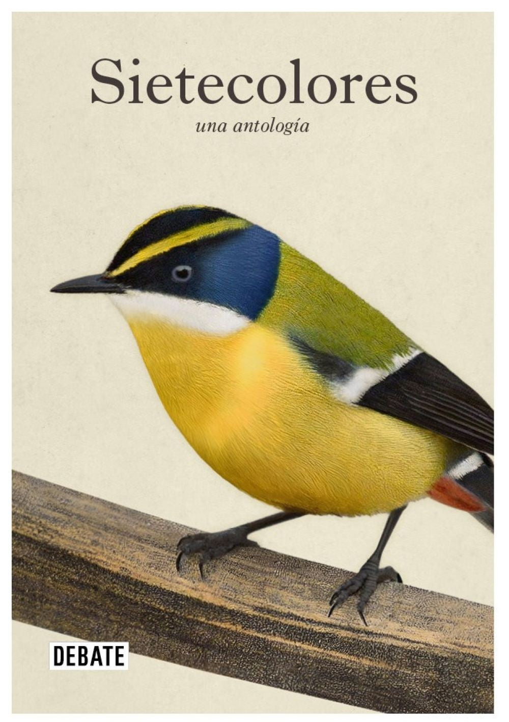 SIETECOLORES: UNA ANTOLOGIA