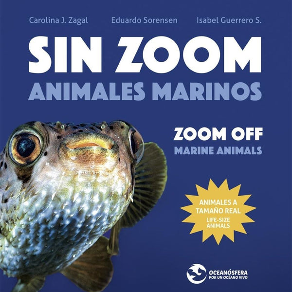 SIN ZOOM. ANIMALES MARINOS
