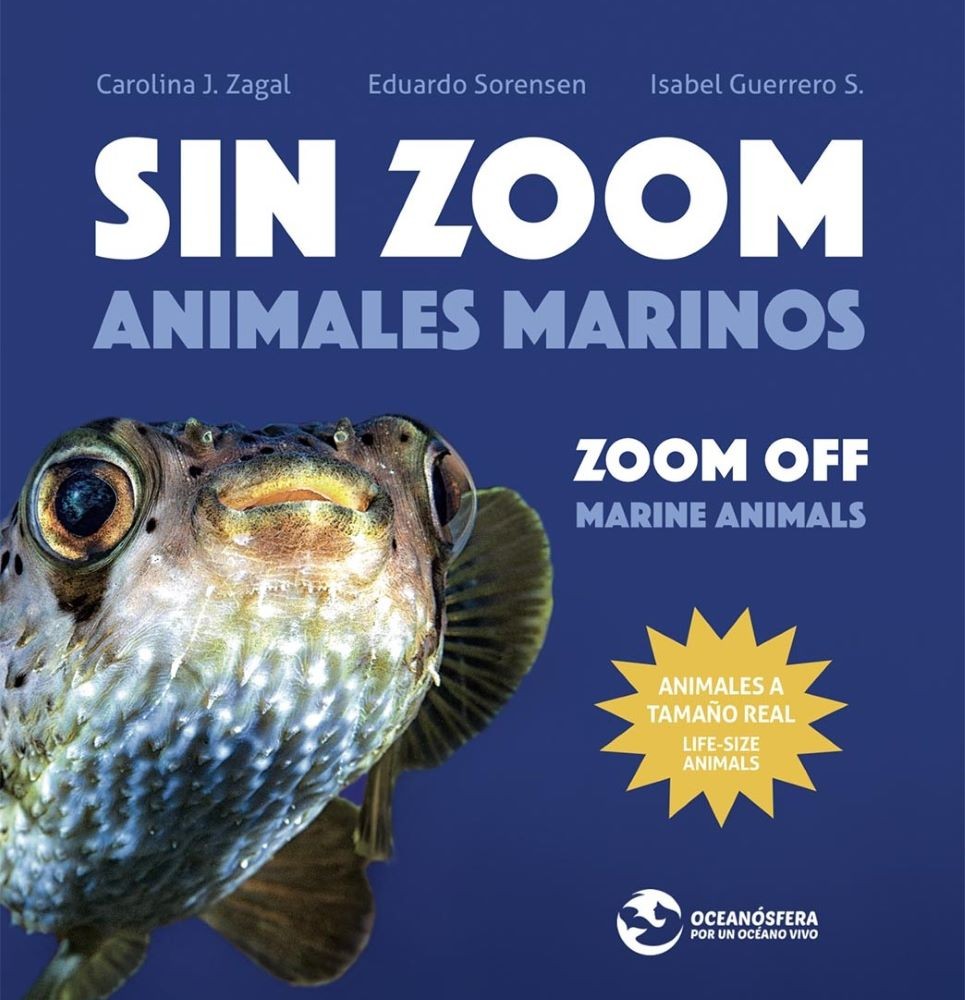 SIN ZOOM. ANIMALES MARINOS