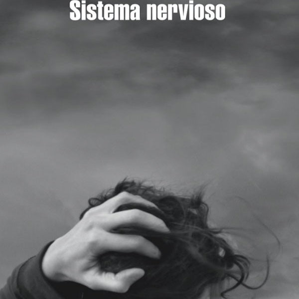SISTEMA NERVIOSO