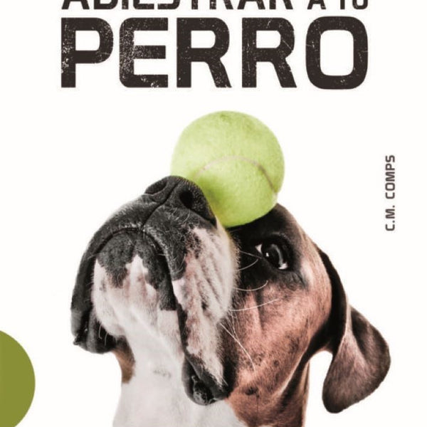 TECNICAS PARA ADIESTRAR A TU PERRO