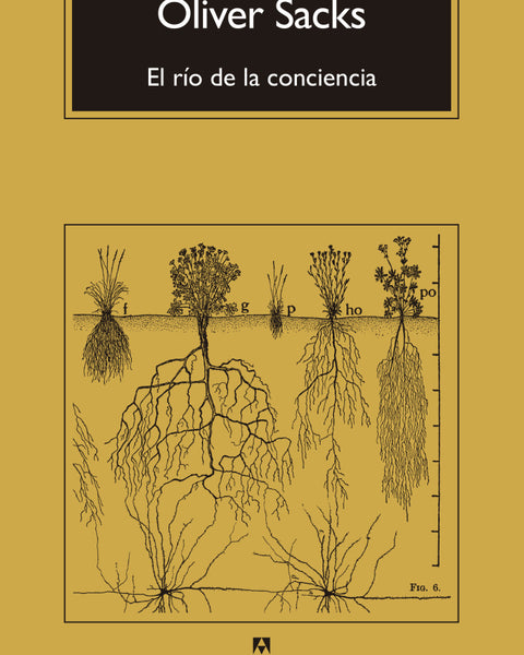 EL RIO DE LA CONCIENCIA