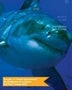 TIBURONES
