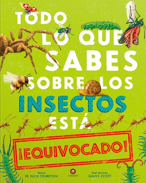 TODO LO QUE SABES SOBRE LOS INSECTOS ESTA EQUIVOCADO