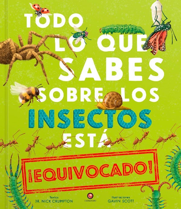 TODO LO QUE SABES SOBRE LOS INSECTOS ESTA EQUIVOCADO