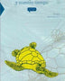 TORTUGAS MARINAS Y NUESTRO TIEMPO