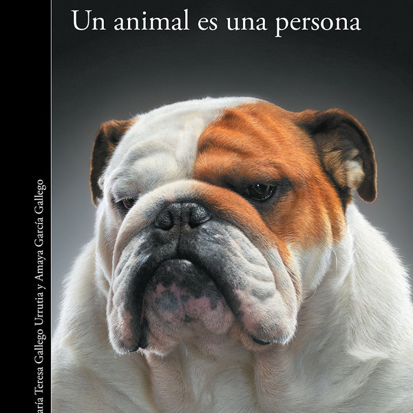 UN ANIMAL ES UNA PERSONA