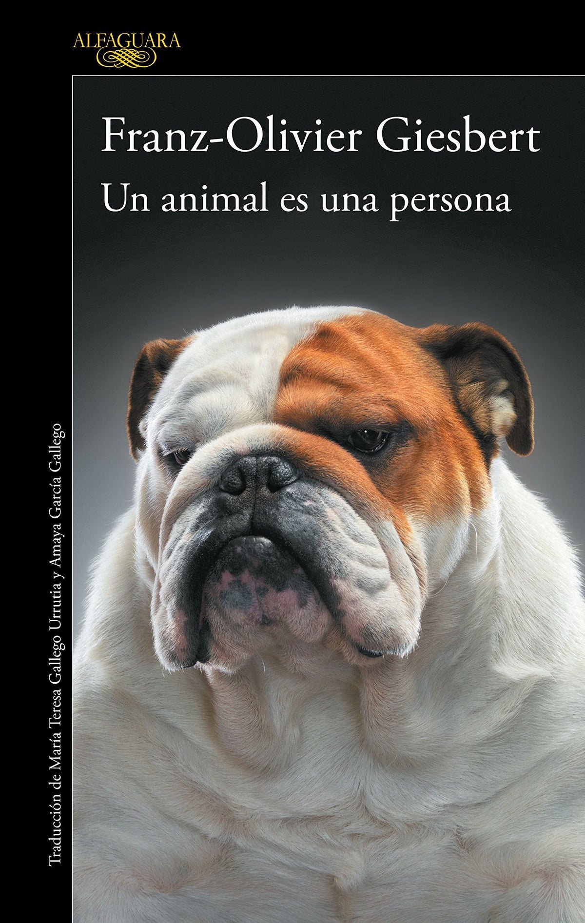 UN ANIMAL ES UNA PERSONA