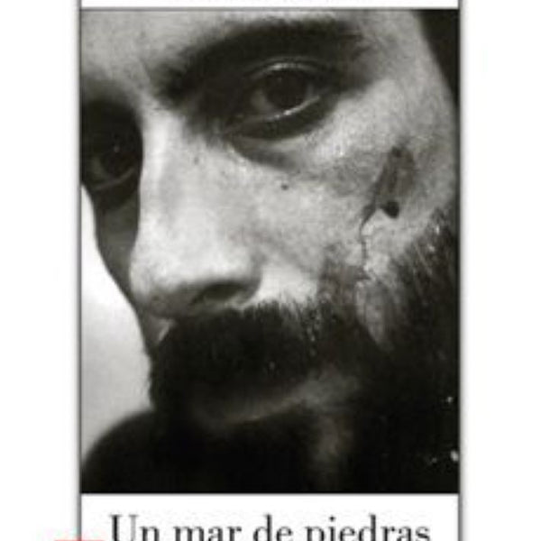 UN MAR DE PIEDRAS