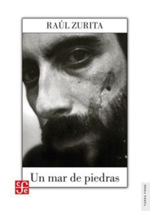 UN MAR DE PIEDRAS