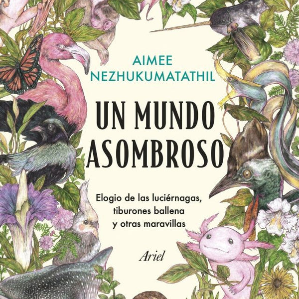 UN MUNDO ASOMBROSO