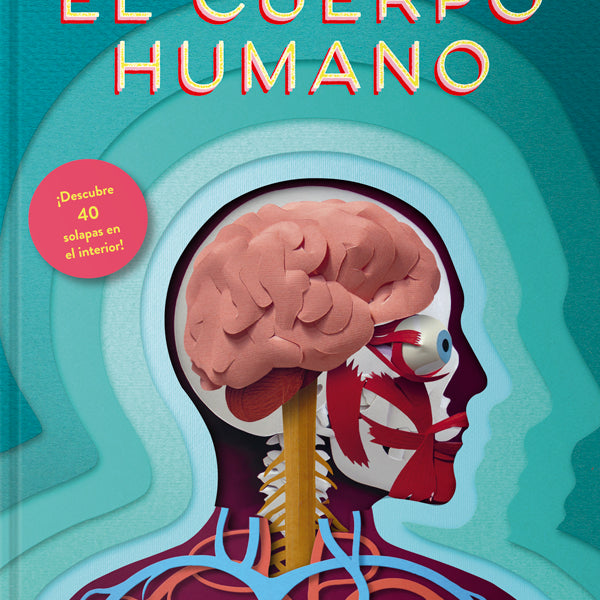 un mundo de papel - EL CUERPO HUMANO
