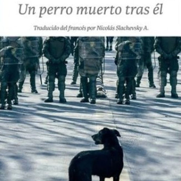 UN PERRO MUERTO TRAS EL