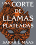 UNA CORTE DE LLAMADAS PLATEADAS