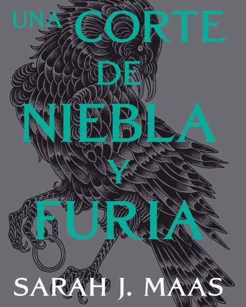 UNA CORTE DE NIEBLA Y FURIA