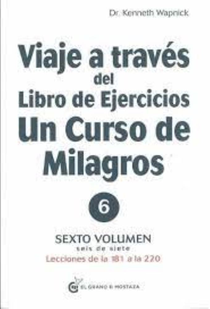 VIAJE A TRAVÉS DEL LIBRO DE EJERCICIOS DE UN CURSO DE MI (VI)