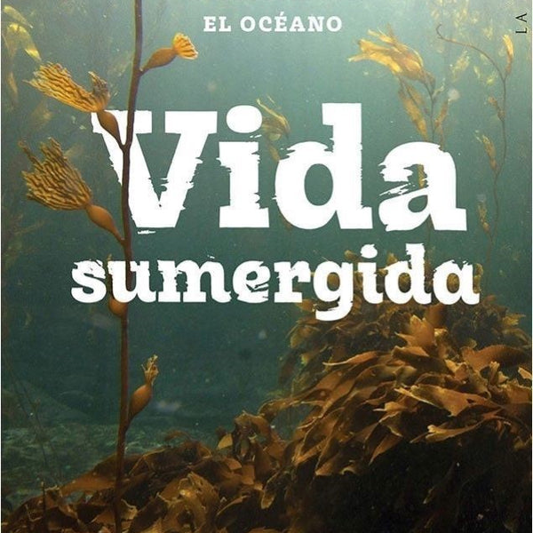 VIDA SUMERGIDA. POR QUE NECESITAMOS EL OCEANO